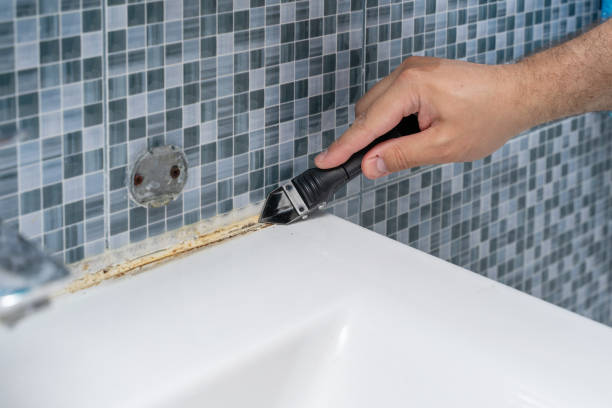 Best Commercial Mold Removal  in Juarez, TX