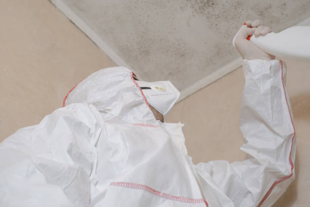 Best Mold Cleaning Services  in Juarez, TX