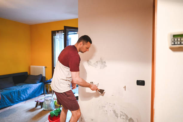 Best Toxic Mold Removal  in Juarez, TX